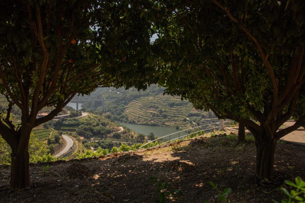 바이아오 Quinta Da Granja 아파트 외부 사진